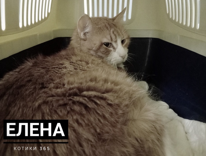 ����� 27.01.2025