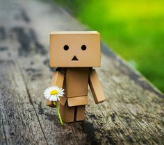 �������� ���� ������