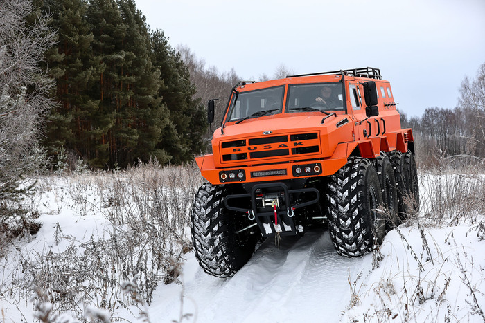 А этот нарядный рыжий!