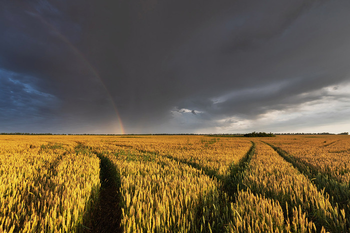 Закатная радуга