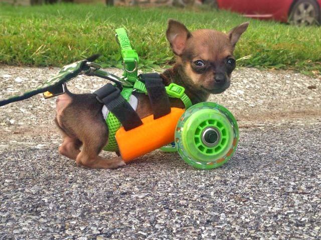 ���� � ������� 3d-��������??