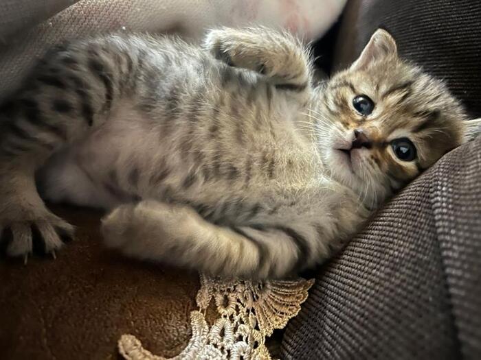 чиловый парень