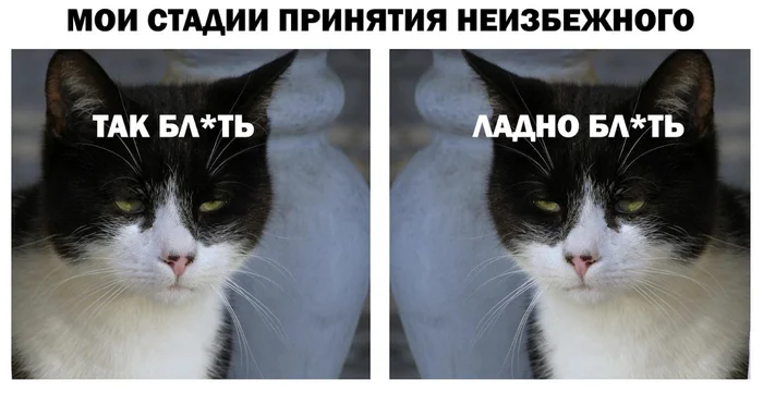 5 Stages of Acceptance When You've Been Rejected by Your Dream IT Company Again - IT, Programming, Programmer, Perfection