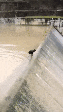       , , , 