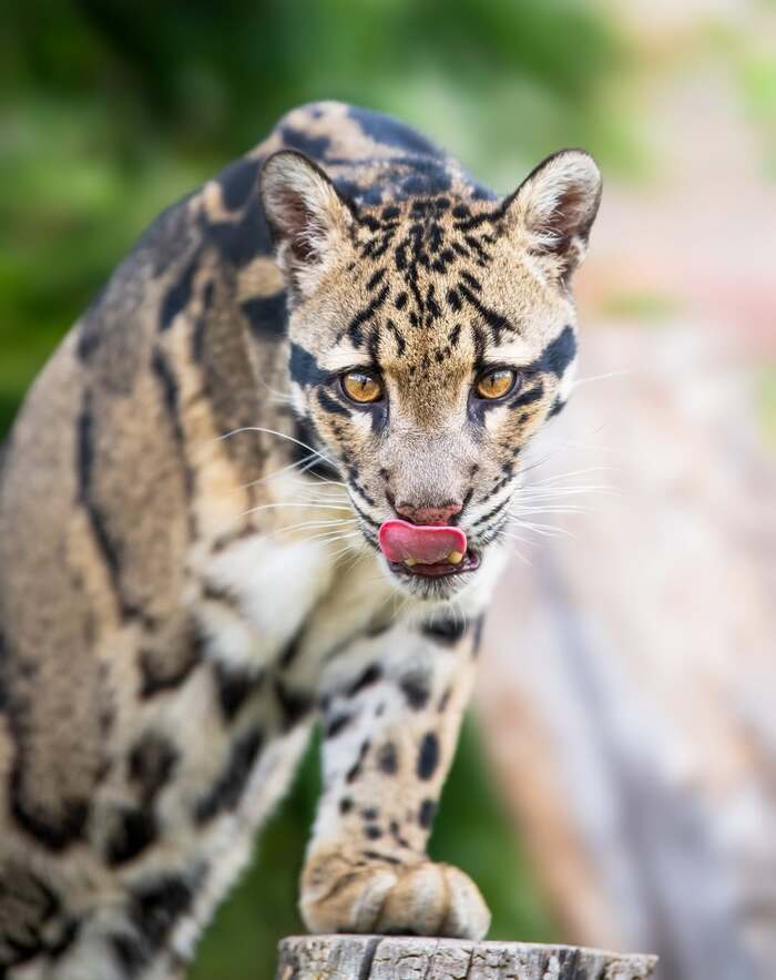 Аппетитно выглядишь