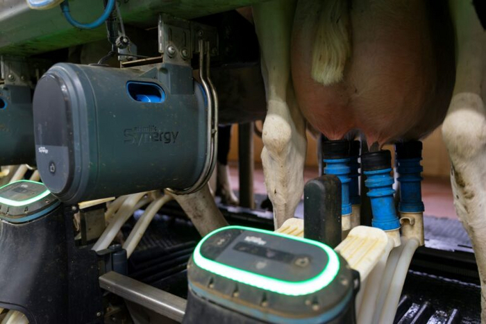 На разработку роботизированной доильной системы Afimilk Synergy ушло пять лет и 30 миллионов долларов. Фото предоставлено Afimilk