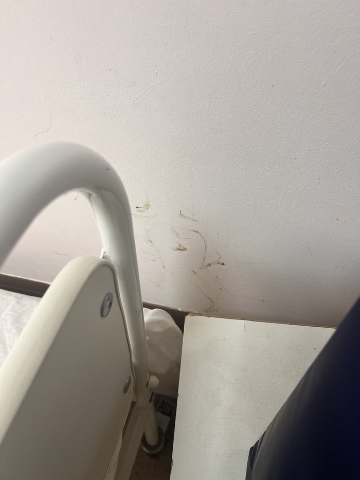 А это палата платная по ДМС