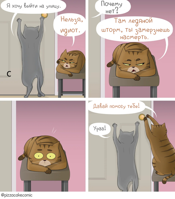 ��� ����� ��� �������