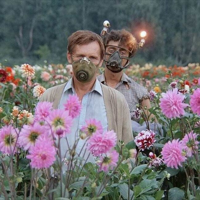 «Правительство на другой планете живет, родной...»