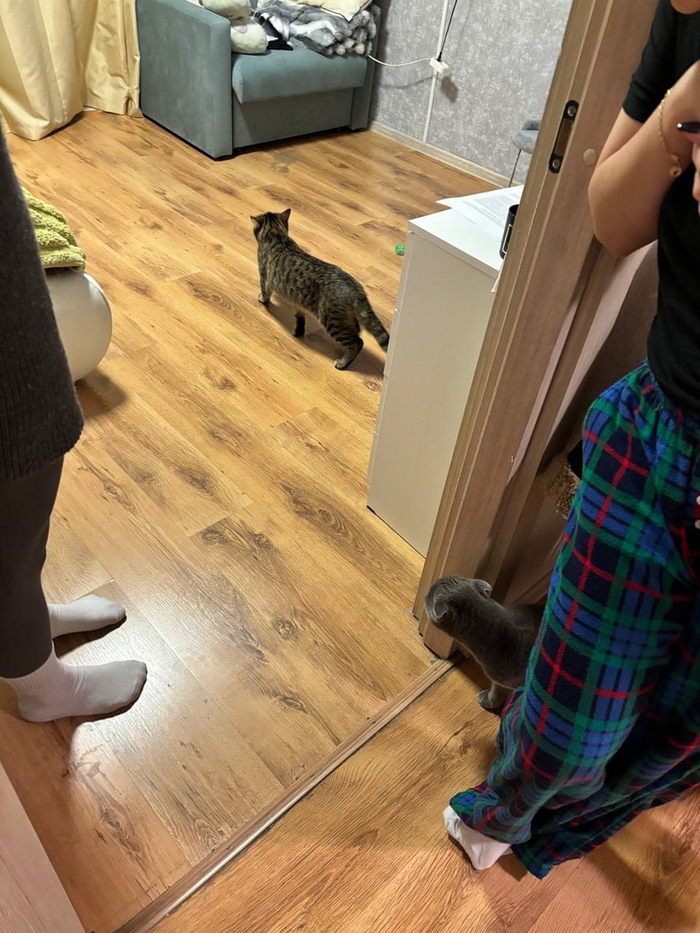   !   , ,  , -, , ,  , ,  , , , ,   ,  