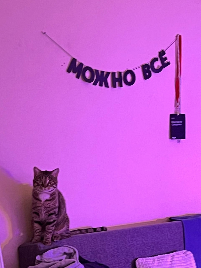   !   , ,  , -, , ,  , ,  , , , ,   ,  
