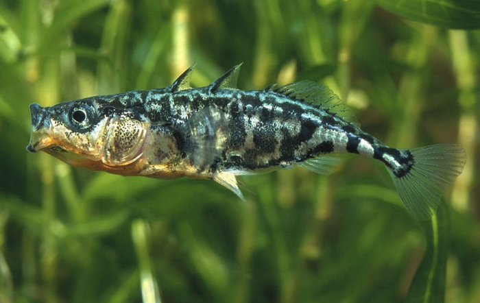      ,   .         ,    !