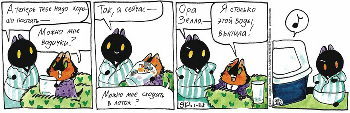 Котейкины Новости от 28.01.2025