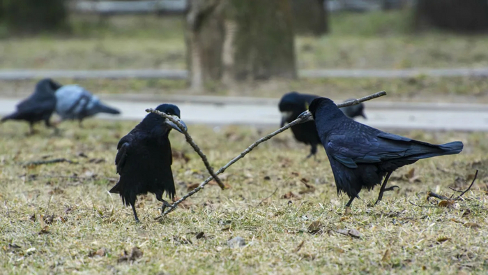 ,          ,          .