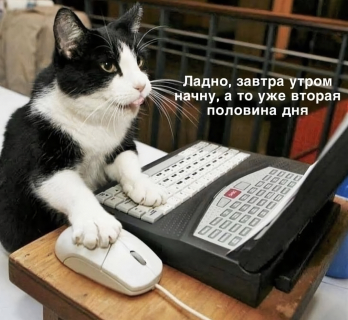 �������������� ��� ��� ����...