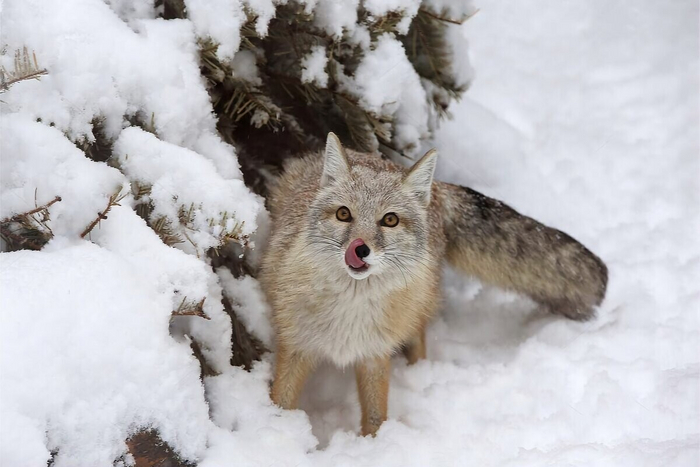     ,          .        .