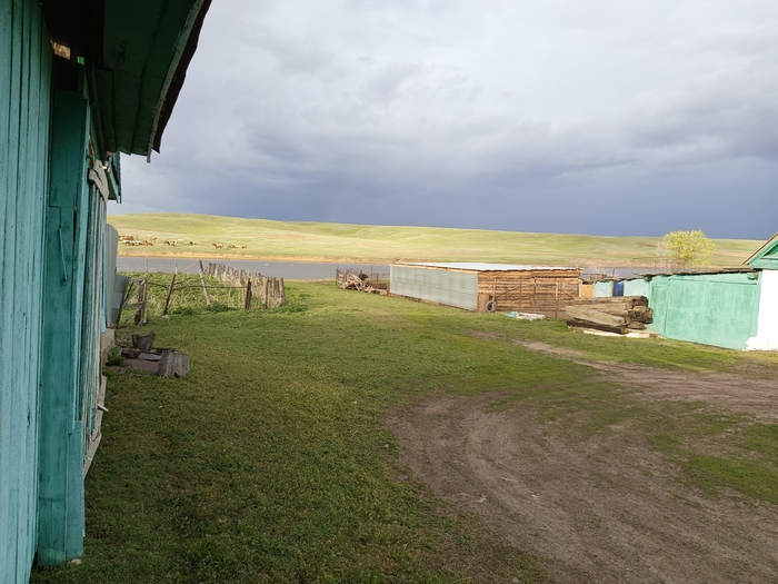 Вы продаёте лошадей? Нет. Просто показываю. Красивое...