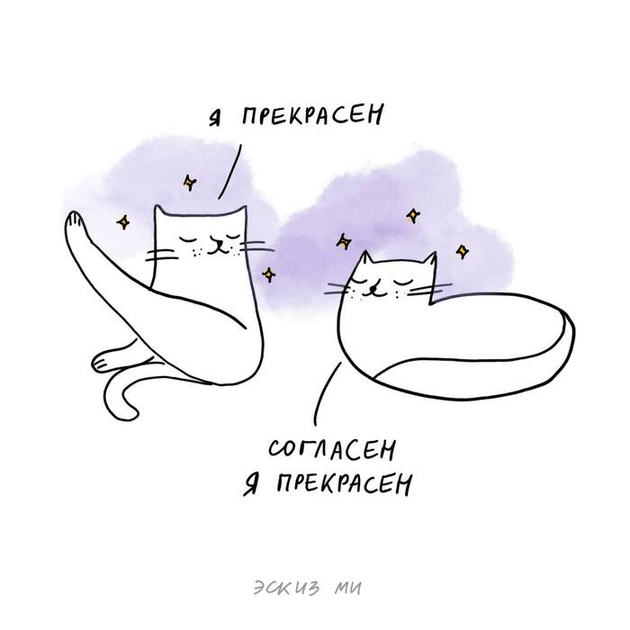 Учимся самооценке у котиков