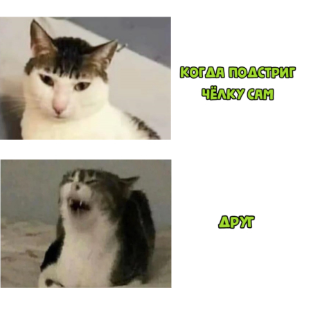 ׸   , ,   , , , 