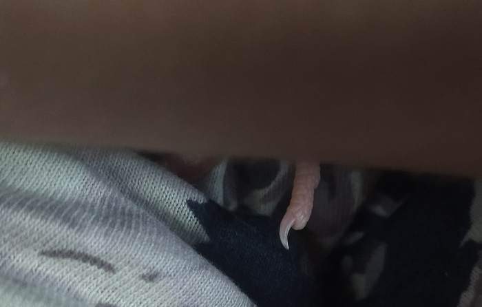 Какой красивый коготок! Все "цыпы" завидуют (: