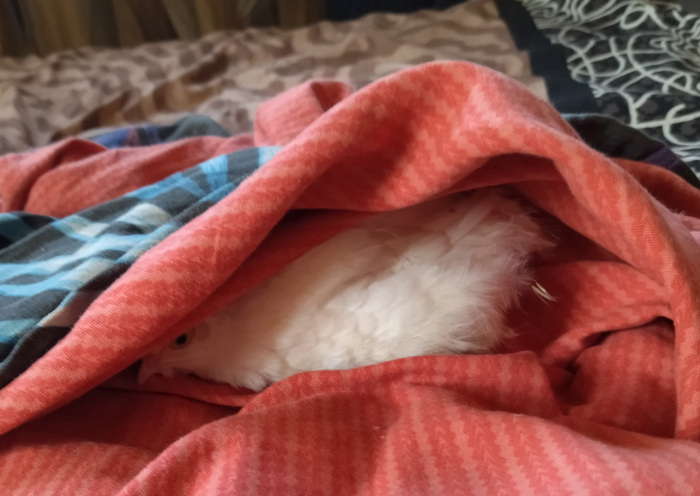 Любим ныкатцо)