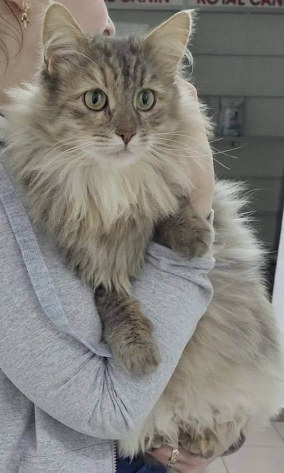 ��� ����� ����� ������� ��������� ��� � ������� �����!