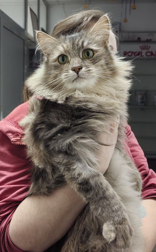 ��� ��������� ����������� ������������ ������� ����� �������� ���������� � ����������� ��������!