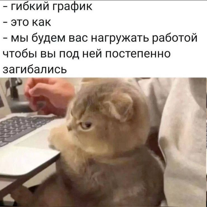 ",    " , , , ,   ,  
