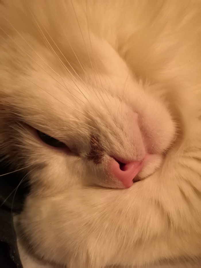    ,  , ,   , 