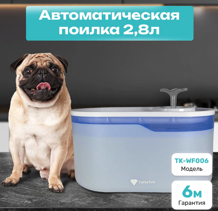 -: -5     ,    , , , ,  , , , ,  ,   ,  , , -, ,    , , 