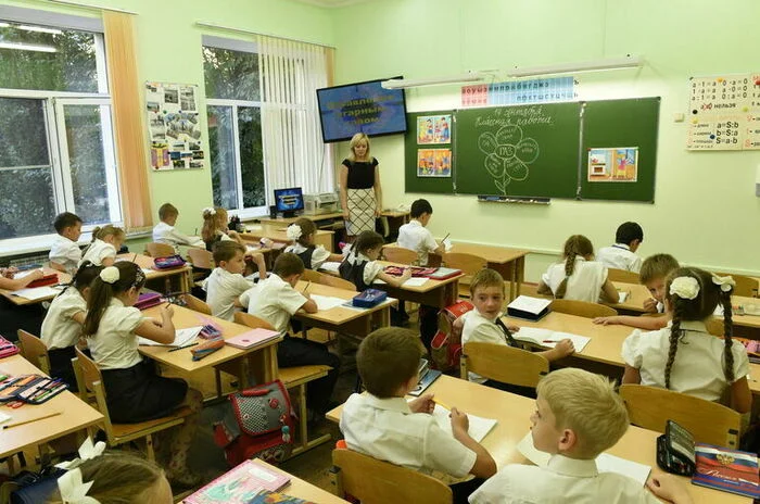 HRC member Kabanov: Schools are not ready for the new procedure for enrolling children of migrants... - Parliamentary newspaper, State, Society, Deputies, State Duma, Politics, Law, Bill, Legislation, Migrants, Education, School, Boars, news, The photo, Picture with text