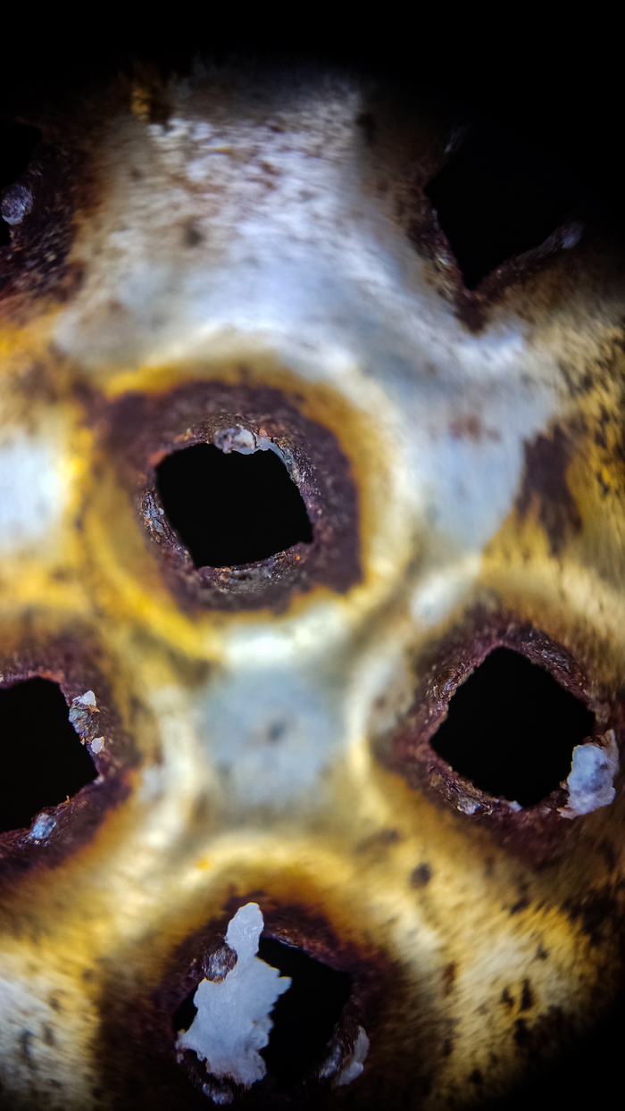 Ржава поела