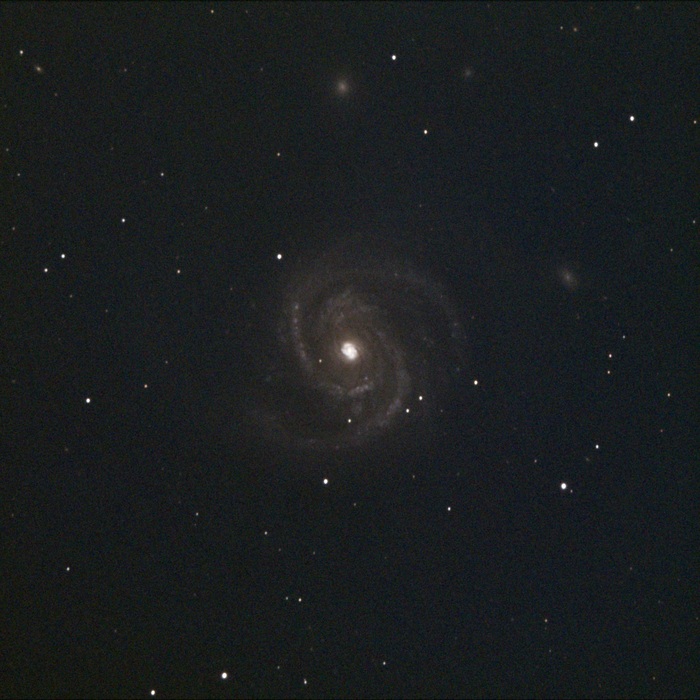   NGC 4321 (M100)         ! , , ,  ,  , , 