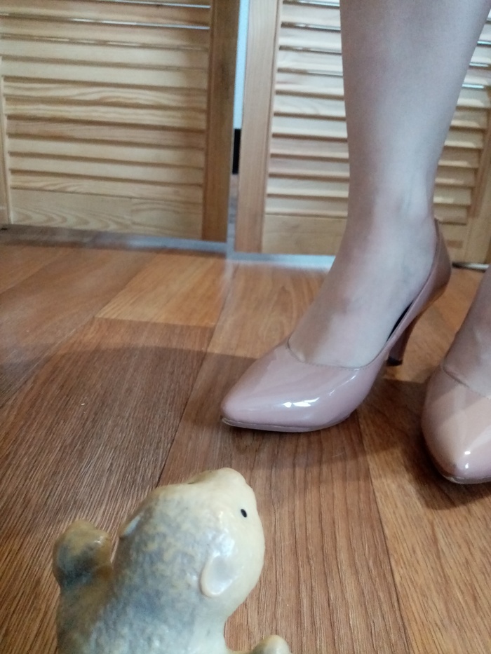 Серия 14. Айво живой