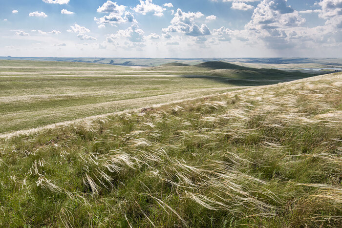 На серебряных волнах