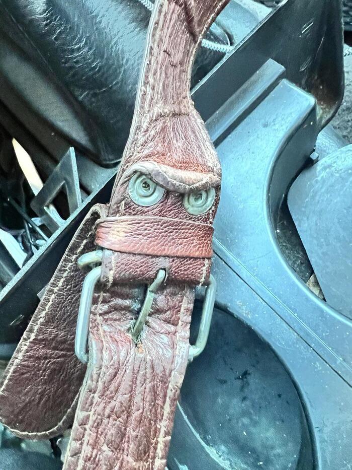     , , , , 