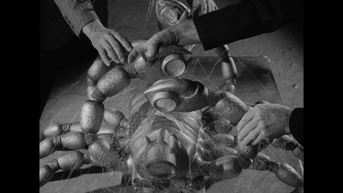 ������� ���������� ����������� ���� ������ ���������