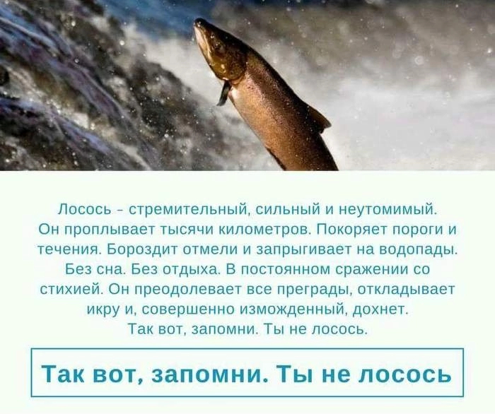            ? ,  ,  , ,  (), 