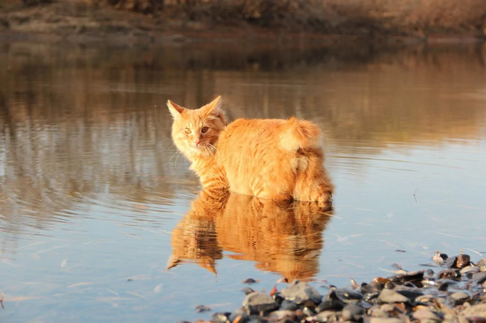 ���������� �������� � ��������� �������� ��� ��������. ��� ������� ���, ���� � �������!