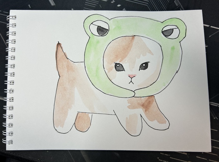 А такая жабка считается?