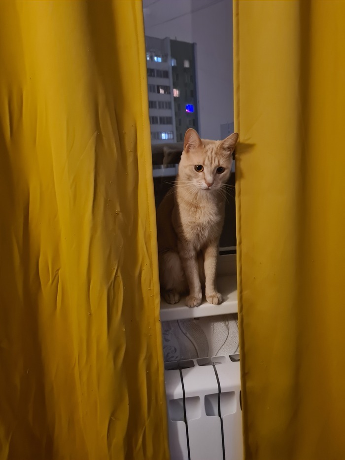    ,      , ,  , ,  ,   , 