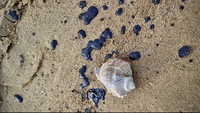 ��� �� ���������� � ������ ���� ������� ������ �������: � ����� � ������� ������ ������� �����