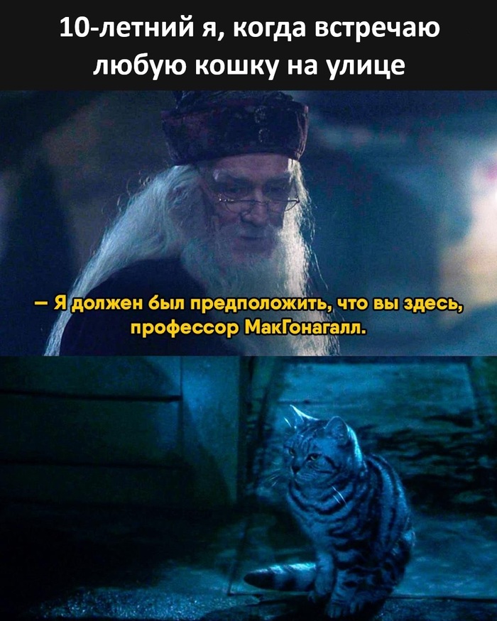 Анимаги кругом!