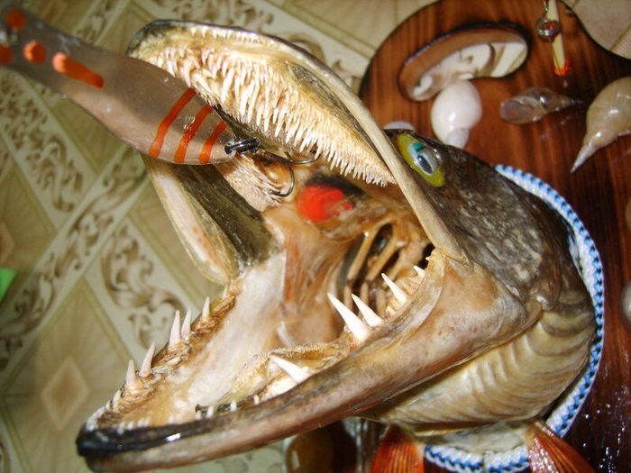  , ,    ?   100 .     ?   !