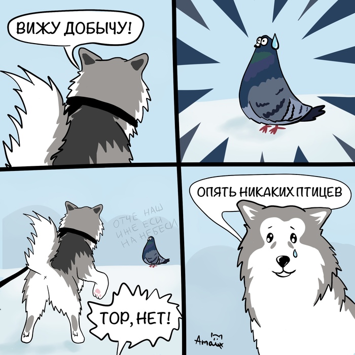 Не птичий день