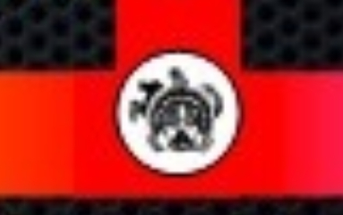 Что-то, связанное с шаманами восточной и южной Азии