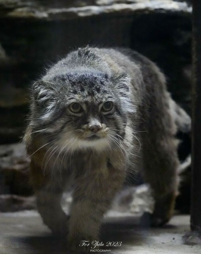 �����. ������� � 2010 ����. ����� � �������� ����