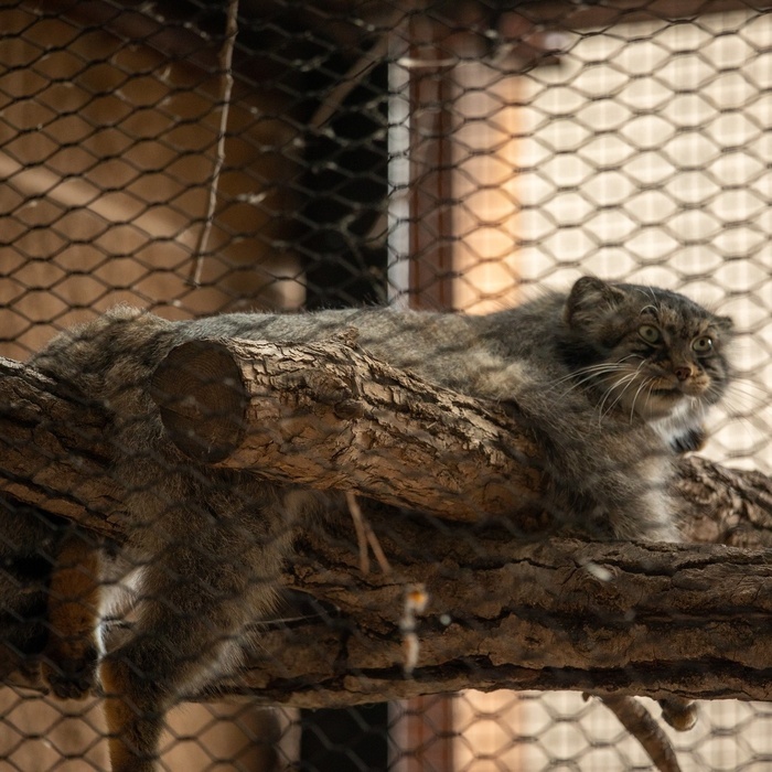 ���. ������� � 2018 ����. ����� � �������� ����� ������