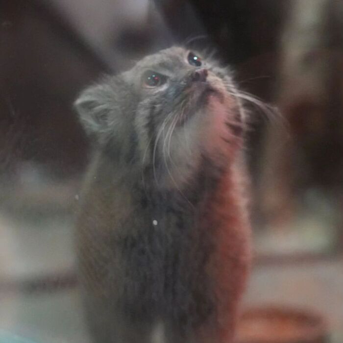 ����. ������� � 2010 ����. ����� � �������� ����