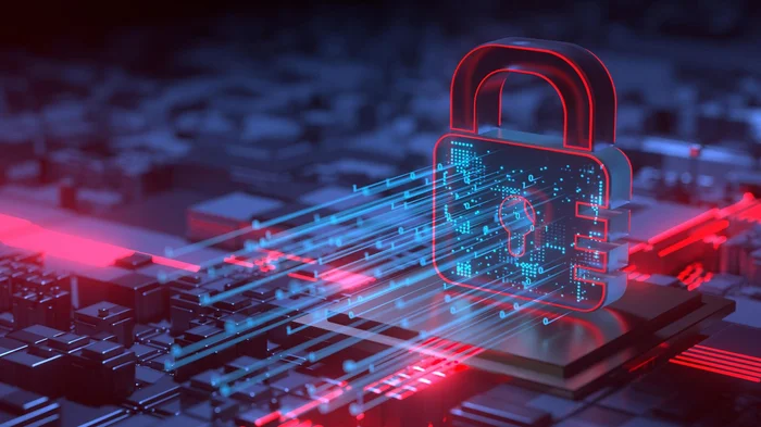Cybersecurity for Small Business: How to Protect Data Without Spending a Lot - Business, Startup, Information Security, Development, Success, Longpost